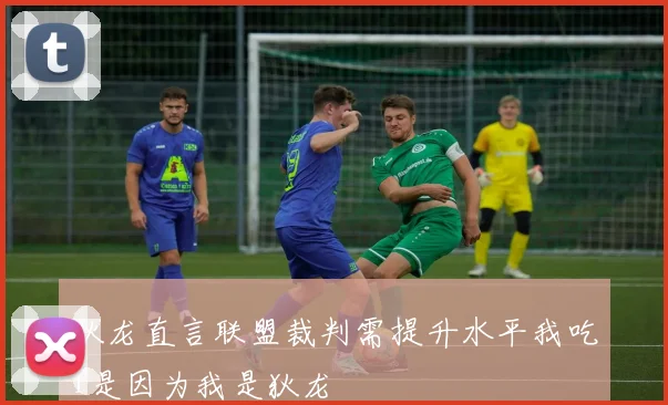 狄龙直言联盟裁判需提升水平我吃T是因为我是狄龙